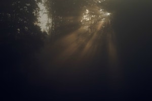 Licht im Dunkeln