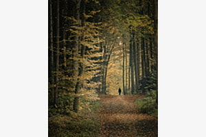 Unterwegs im Herbstwald