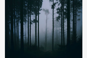 Lost