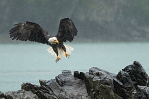 Landeanflug