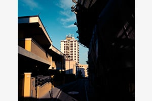 Sunset Street Sunset Street