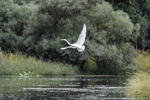 Abflug Abflug