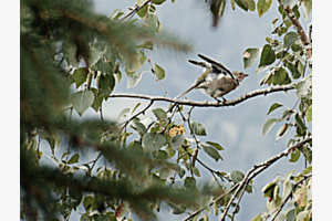 Abflug
