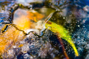 Durchs Wasser gesehen Durchs Wasser gesehen