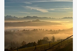 Nebelmeer