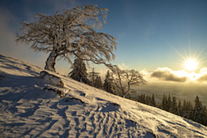 Sonnenaufgang über dem Nebel