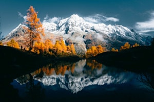 Autumn colors pop