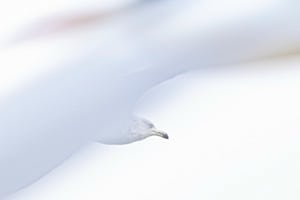 Auf und Davon Auf und Davon