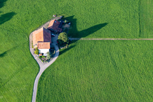 Wie eine Insel im Grünen