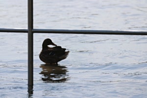 Eingerahmte Spiegelung
