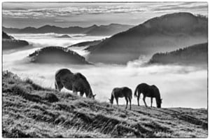 Belchen