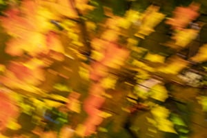 Bewegter Herbst Bewegter Herbst