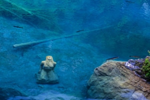 Blausee