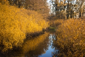 Blick zum Steg