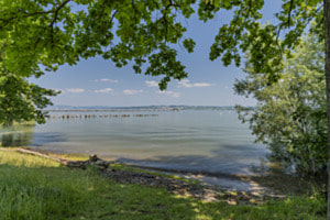 Altnau am Bodensee