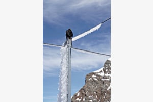 Eisiger Wind
