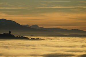 Traumaussicht