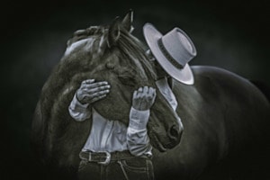 Black Beauty