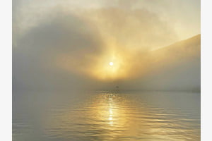 im Nebel