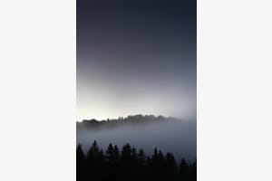 Brume matinale