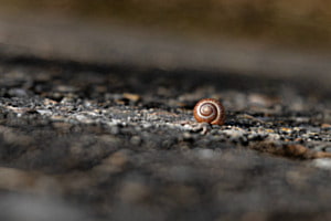 Schneckestrasse ♡