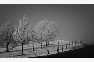 LANDSTRASSE WINTER BW LANDSTRASSE WINTER BW