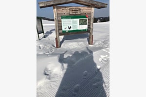 Schatten im Schnee Schatten im Schnee