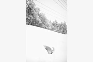 Whiteout
