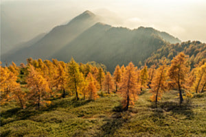 Leuchtender Herbstmorgen