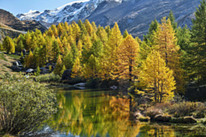 Grindjisee Zermatt