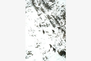 Premières neiges à la Dôle Premières neiges à la Dôle