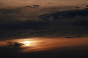 CIEL#07433