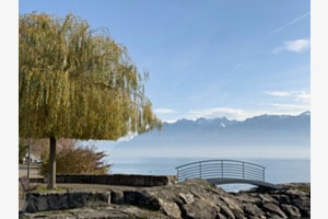 Brouillard 01
