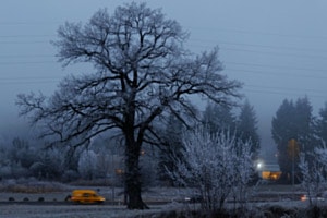 Matin glacial