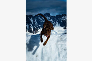 NURA IN DAVOS