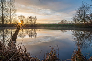 Morgenstille am Weiher