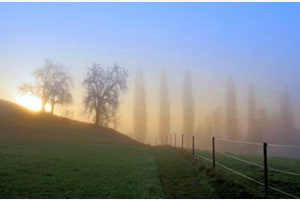 Nebel