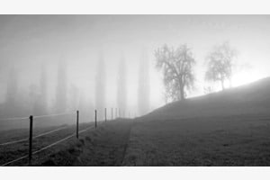 Daybreak