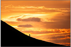 Dem Himmel entgegen