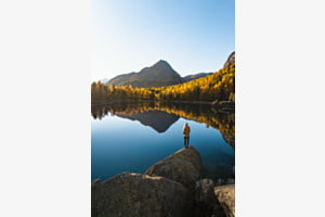 Der Herbst