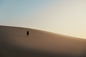 Vast Lands