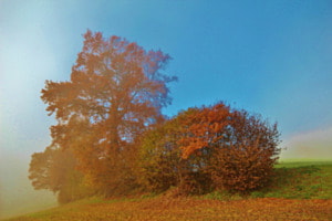 Sonne im Anzug