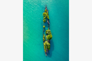 From Above