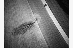 Schattenspiel