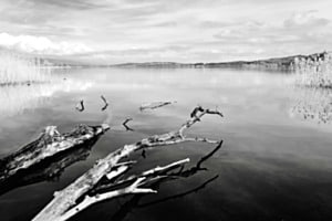 Lac de Bienne 1