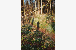 Hints of Spring