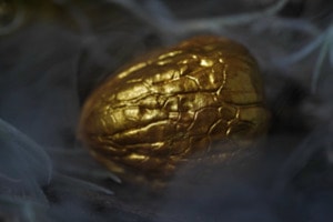 Goldeneye