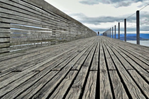 Auf dem "Holzweg"