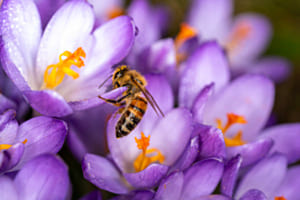 Frühlingsgefühle