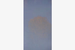 Erwachen aus dem Nebel